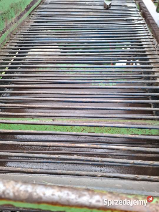 Kombajn ziemniaczany Hassia świętokrzyskie Kijany sprzedam