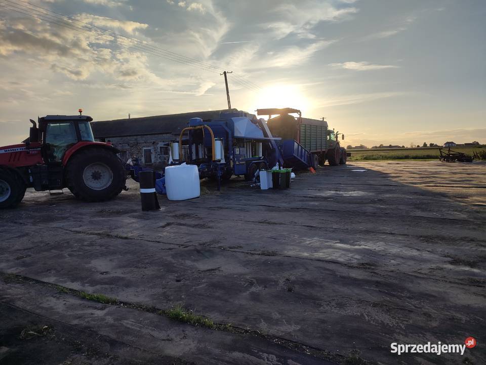 Kiszonka z kukurydzy w belach balotach łódzkie Kiernozia
