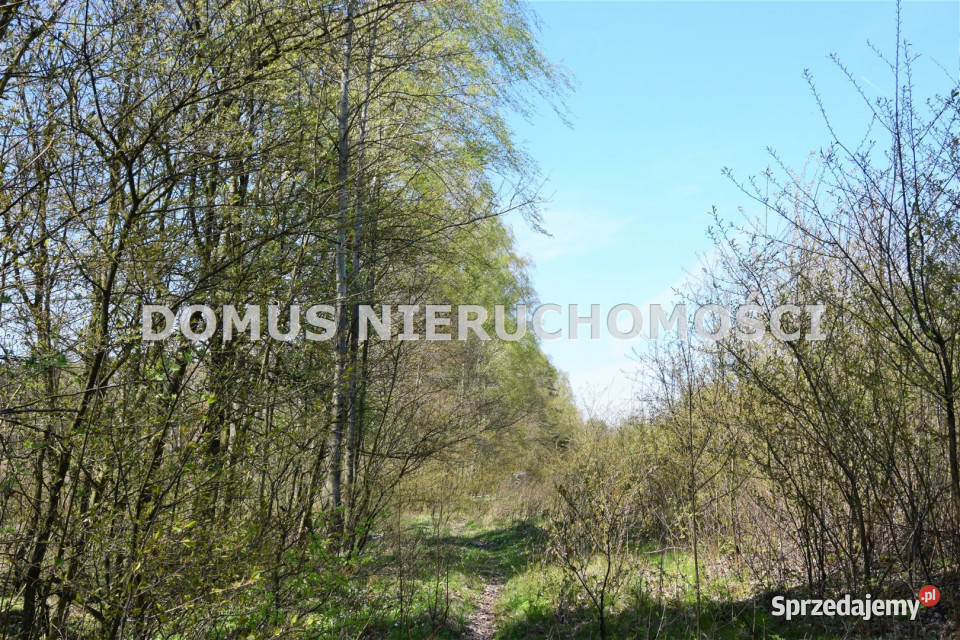 Działka Grębosze 6300m2 świętokrzyskie