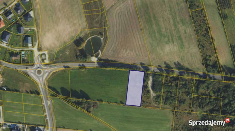 Działka 679 w miejscowości Dębogórze