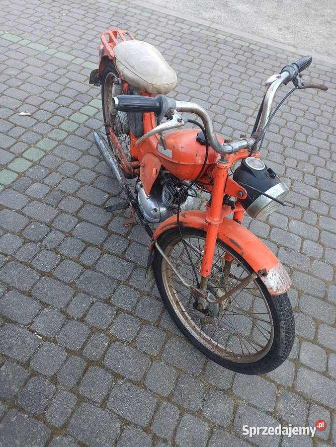 Komar rozebrany dowód Białystok