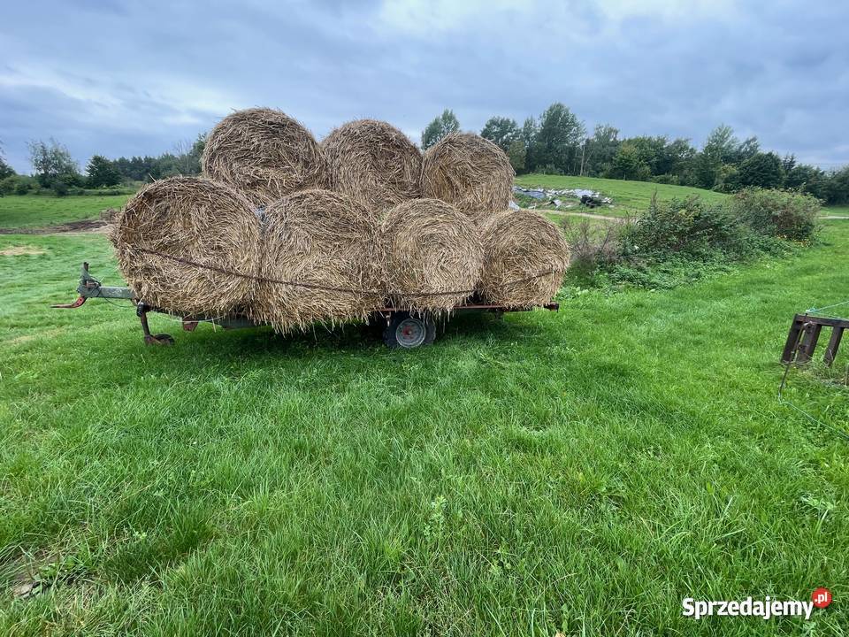 słoma z owsa bele 130125 Mrągowo