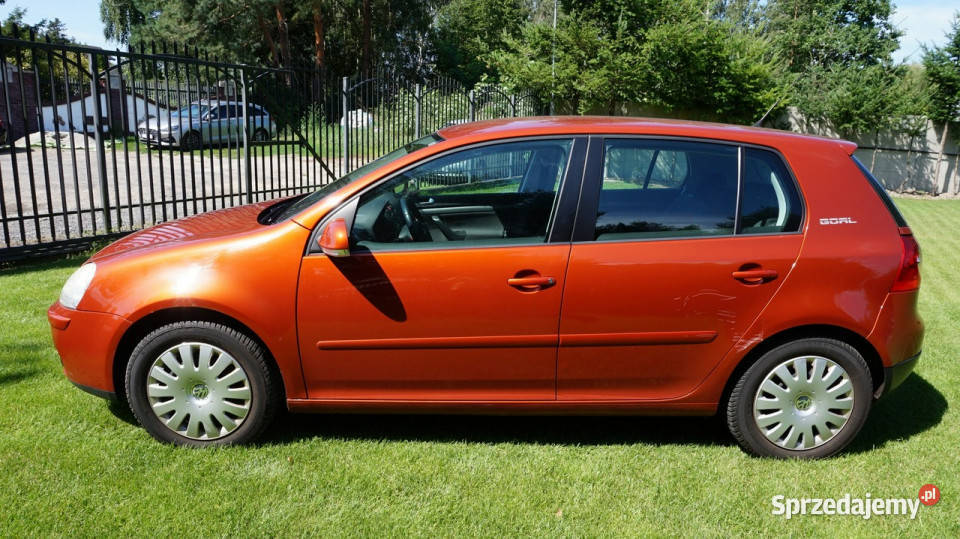 Volkswagen Golf super stan Gwarancja V 20032008 1390cm3 lubuskie Zielona Góra
