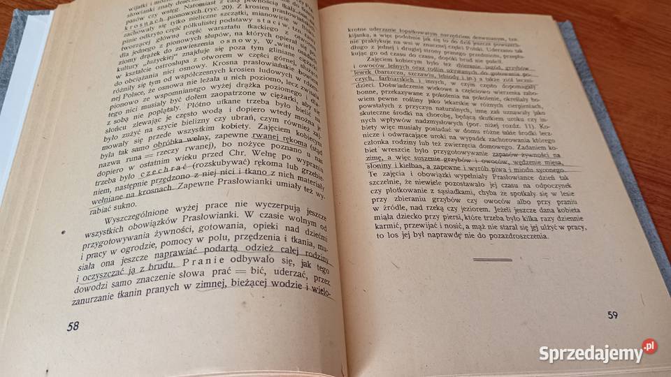 Prasłowiańszczyzna zarys dziejów i kultury historia