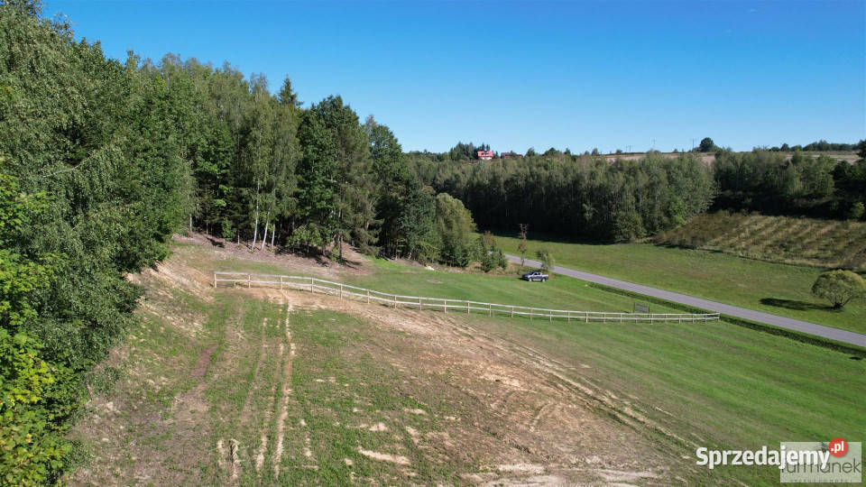Sprzedam działka TeodorówkaKolonia 2636m2 Teodorówka-Kolonia