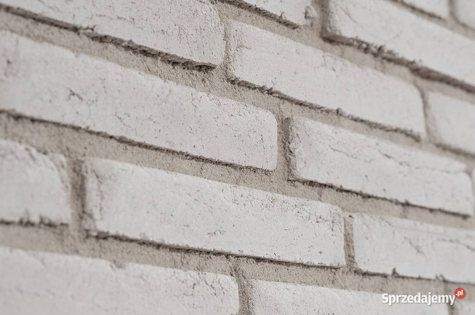 Long Tom White Warszawa