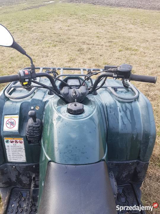 Yamaha Bruin 350 zielony wielkopolskie Grodziec
