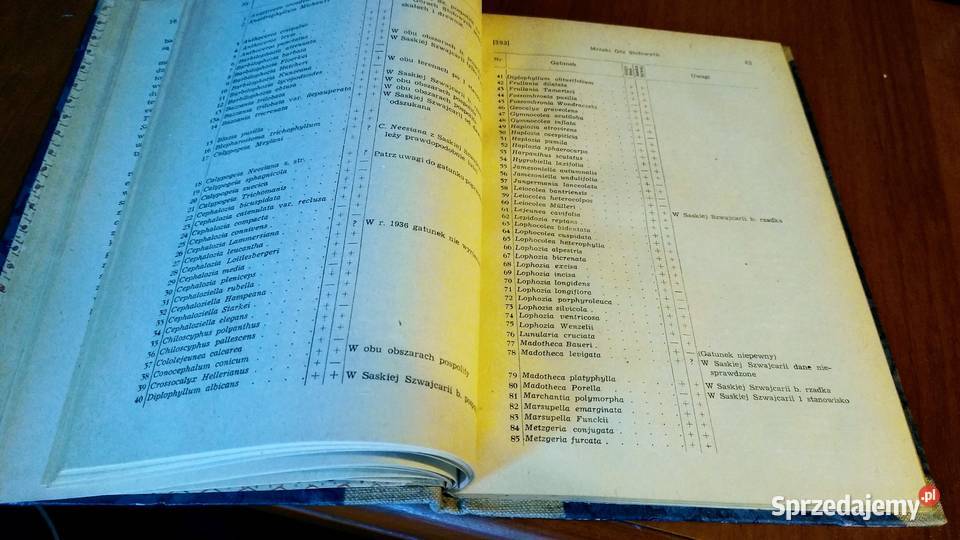Mszaki Gór Stołowych Cz 1 Wątrobowce Hepaticae Rok wydania 1953 Gdańsk sprzedam