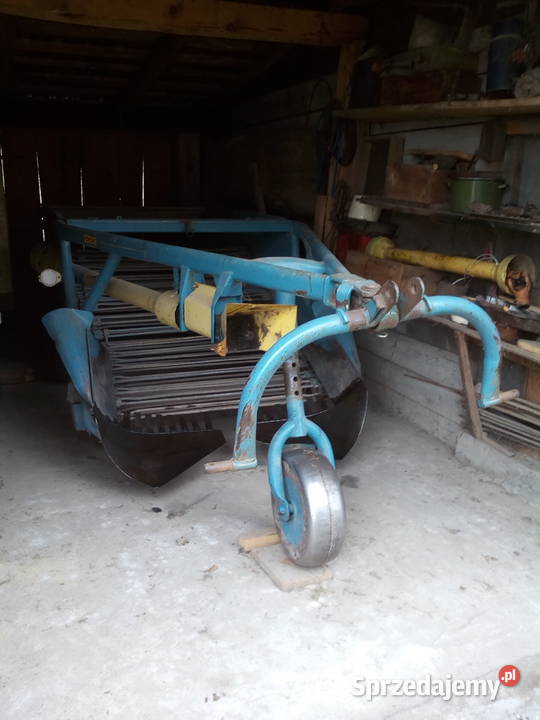 Kopaczka elewatorowa do ziemniaków podkarpackie Dąbrowica