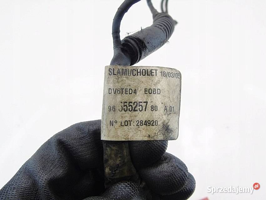 WIĄZKA ŚWIEC ŻAROWYCH 16 TDCI C FOCUS 2 C30 V50 osobowe Pozostałe