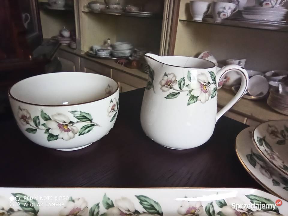 Serwis do herbaty Z kwiatem jabłoniStaffordshire pomorskie