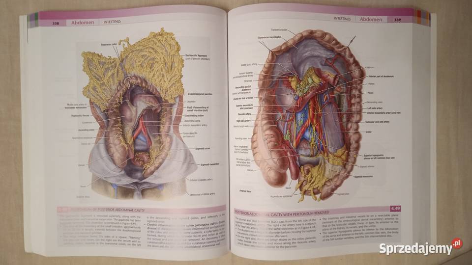 Grants Atlas Anatomy AgurDalley Warszawa sprzedam
