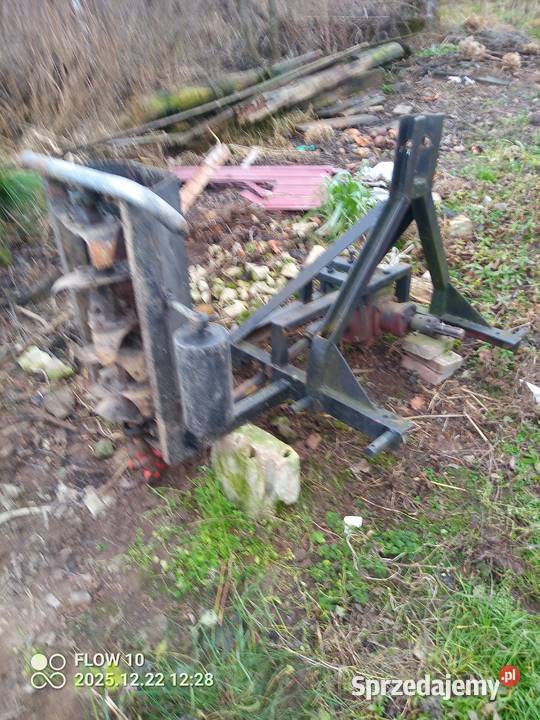 glebogryarka podkoronowa Łada