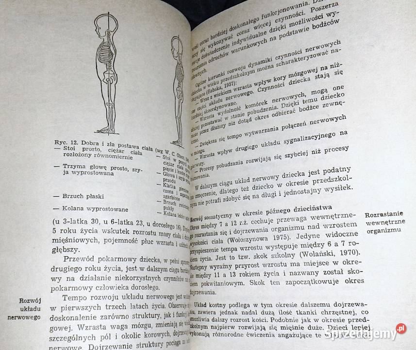 Psychologia rozwojowa M Przetacznik G miękka lubelskie