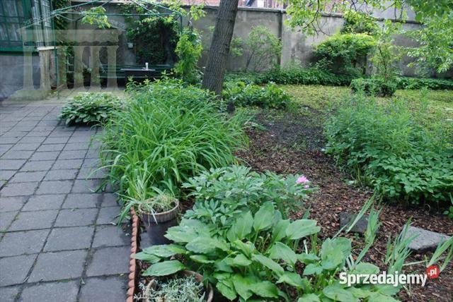 dom wolnostojący Zabrze 16000m Zabrze