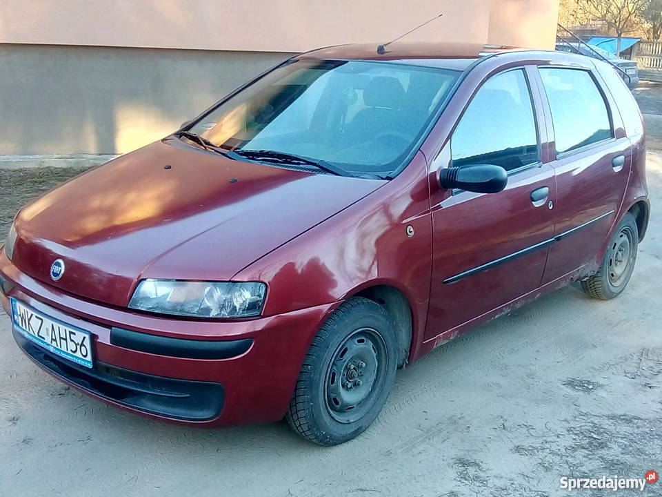 Punciak Punto Maciejowice