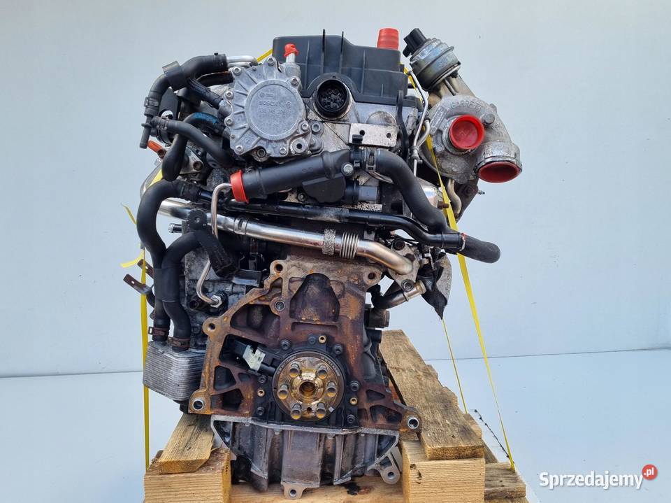 SILNIK KOMPLET VW Golf V 20 TDI 170 143 BMN lubelskie Janów