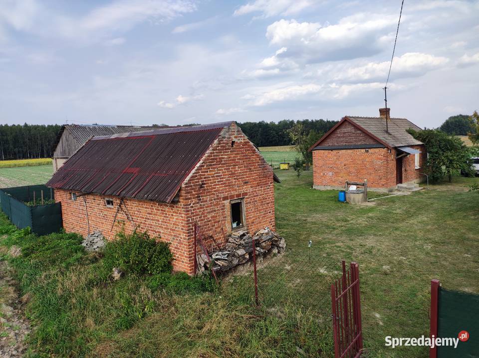 siedlisko na sprzedaz 37zł/m2 Zieleniec