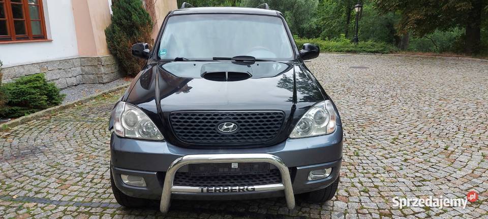 Hyundai Terracan 29 CRDi High Sprowadzony mazowieckie Gostynin
