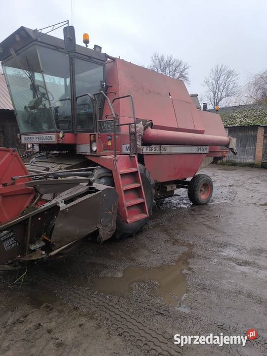 Kombajn zbożowy Massey Ferguson 31xp Zbożowe Brzeźnica Książęca