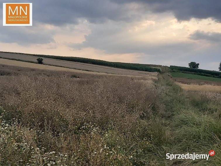 Dom wolnostojący Januszowice 100m2 4999zł/m2