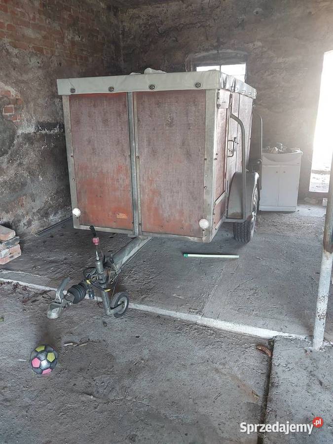 Przyczepa jedno osiowa do przewozu zwierząt Golina