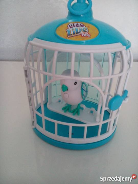 Little Live Pets papuga żywa lubelskie Zamość