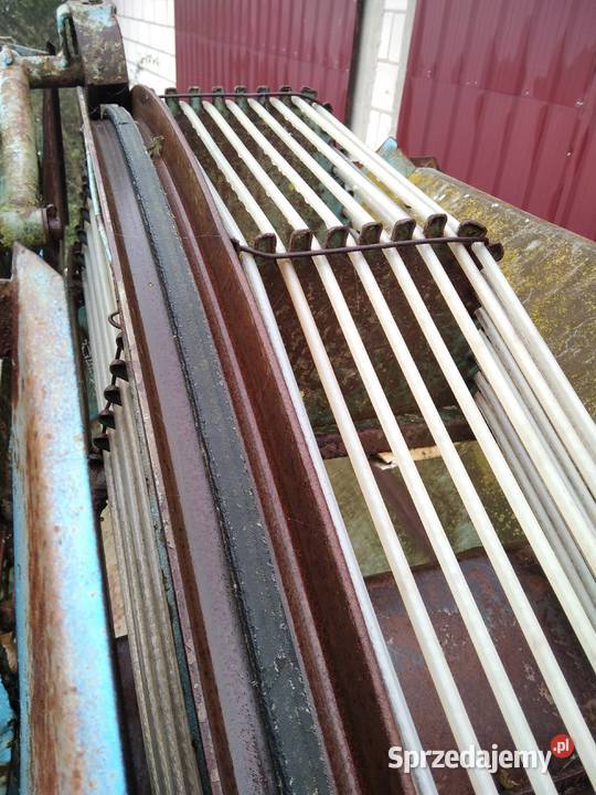 Wyorywacz sadzonek truskawek Anna kopaczka Mała Wieś