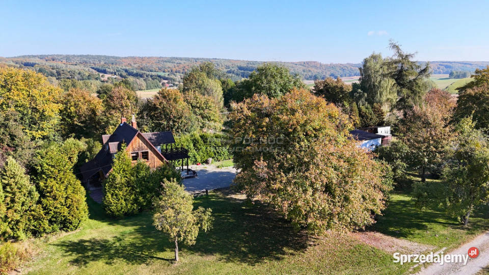 Przytulny dom z potencjałem i ogromną działką lubelskie Drewniki