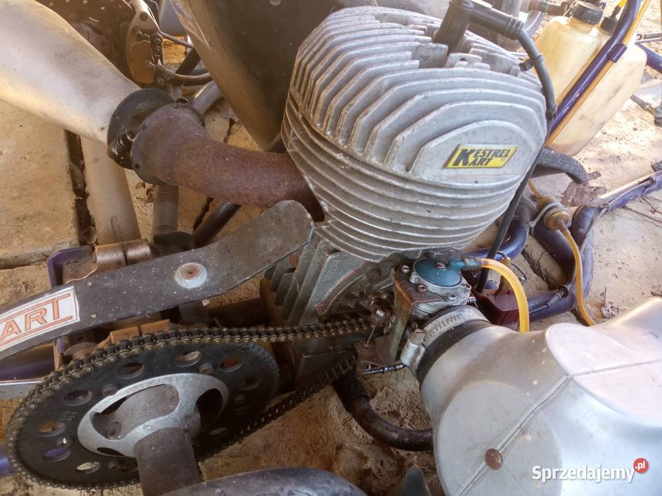 Sprzedam gokart 125 rotax 2t sprawny Hadle Kańczuckie