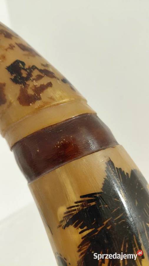 Róg Watussi Senegal Pozostałe