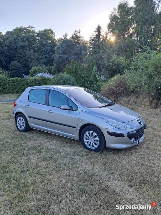 Peugeot 307 14 Benzyna 2005 1400cm3 Wrocław