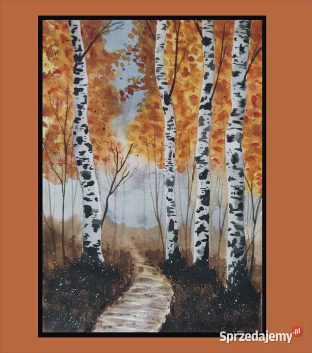 Akwarela Akwarelka Obraz pt Brzozy 073