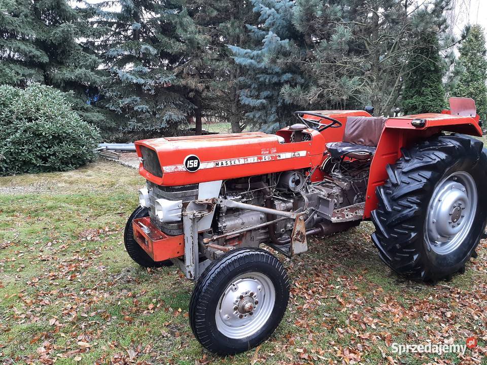 Massey Ferguson 158 silnik 4cylindrowy Perkins Legnica sprzedam