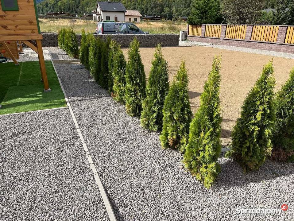 Usługi Ogrodnicze Wertykulacja wycinki drzew Bielsko-Biała