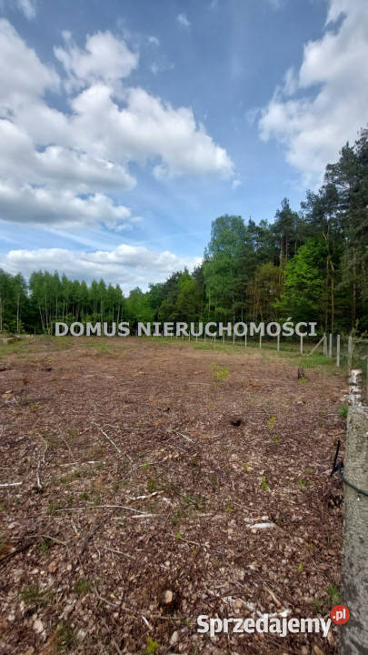 Działka 4504 metry Rosanów Poprzeczna