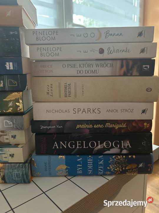 Wyprzedaż domowej biblioteki