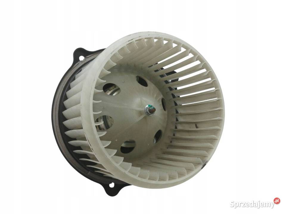 DMUCHAWA NAWIEWU Piaggio Porter II 2021 NP6