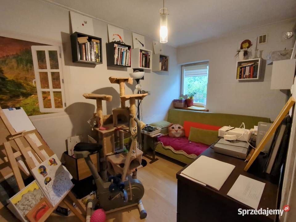 724 udziału w nieruchomości Syndyka Okuniew 145m2
