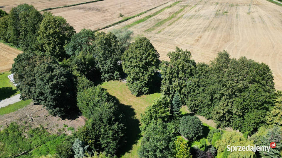 Działka siedliskowa Cedry MałeGdańskTrójmiasto 3100m2 Sprzedaż