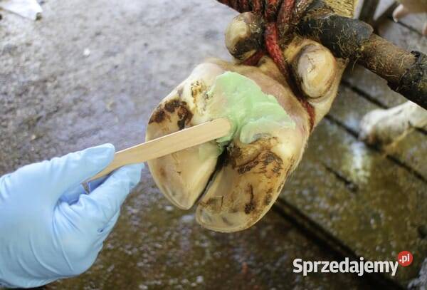 Pasta do kopyt Podoseptan 20 450 ml 16363 Kamionna