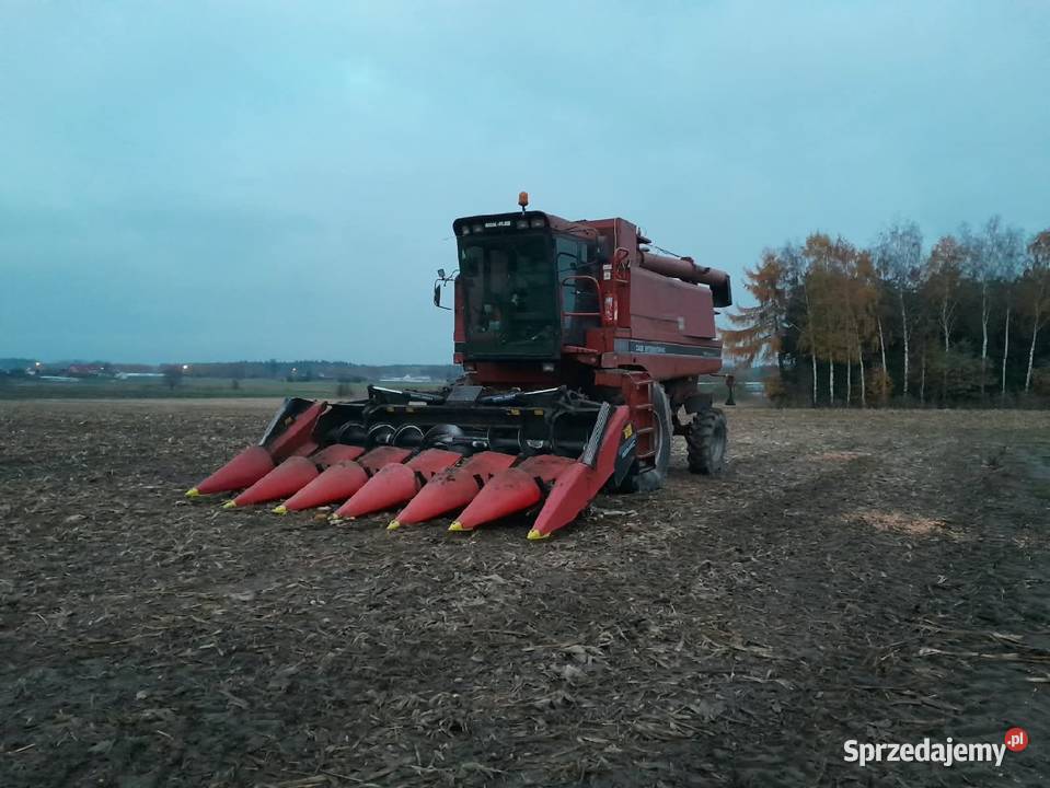 Sprzedam kujawsko-pomorskie Brzozówka