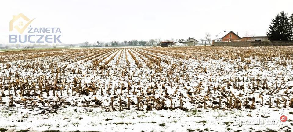 Sprzedam działkę o pow 4606 m2 w Leonowie w Leonów sprzedam