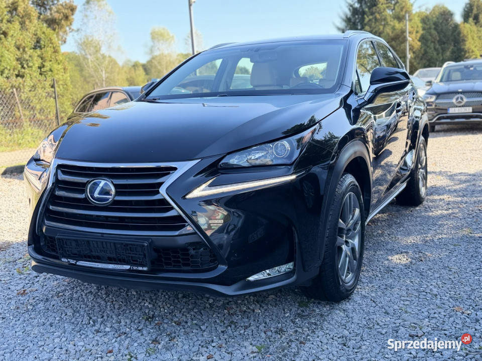 Lexus NX NX300h 25 hybryda navi kamera skóra I wielofunkcyjna kierownica Łodygowice