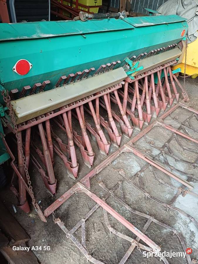 Siewnik Poznaniak mazowieckie Przasnysz sprzedam