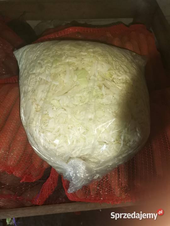 SPRZEDAM KAPUSTA SZATKOWANA SZATKA KAPUSTA Proszowice