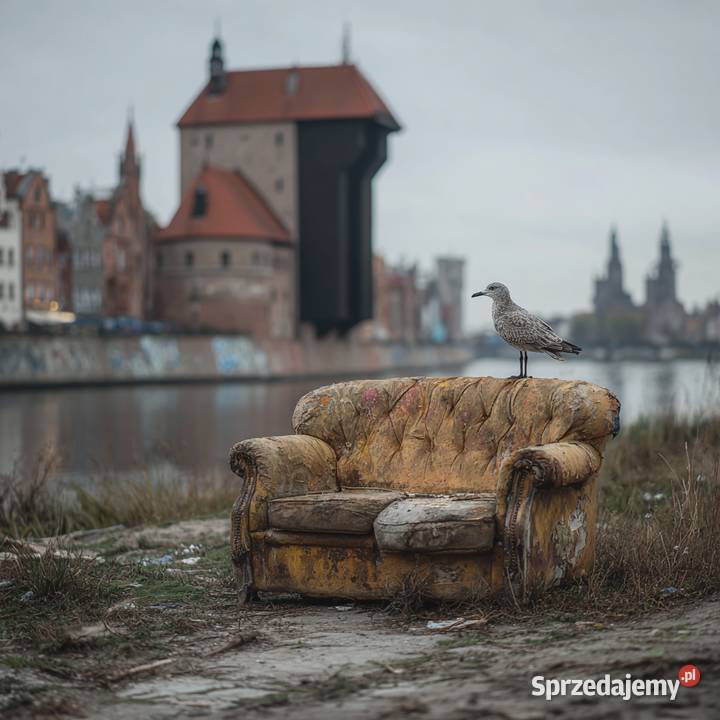 Opróżnienie mieszkania Gdańsk wynoszenie mebli Wywóz gruzu i śmieci