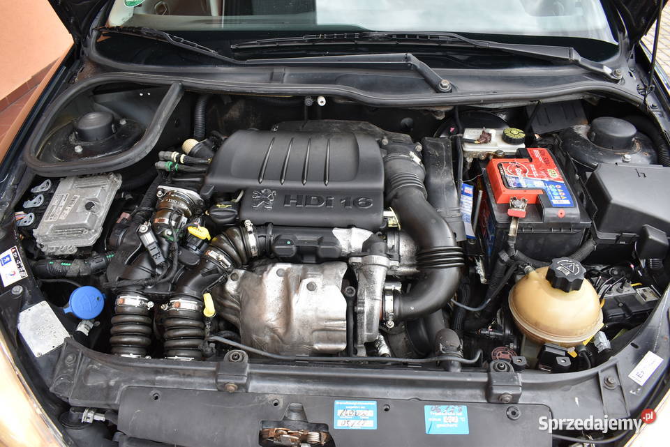 16 HDI 110 5 drzwi klimatyz Halogeny elszyby Hatchback Białogard sprzedam
