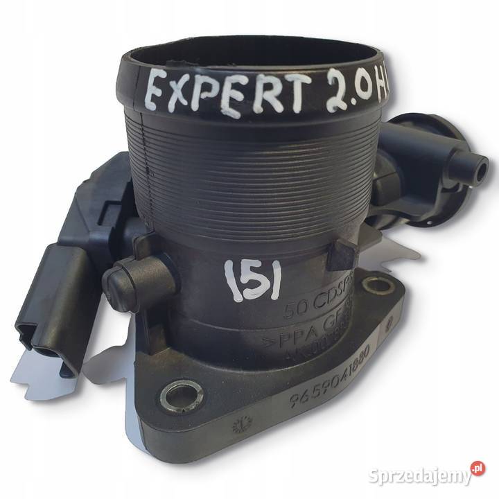 PRZEPUSTNICA Peugeot Expert II 20 HDI 9659041880 Części samochodowe