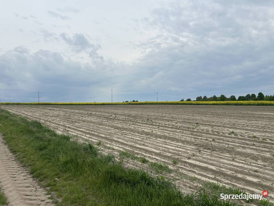 Sprzedam działkę rolną 1100m2 o regularnym 40m Kanie
